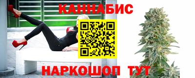 индика Гай