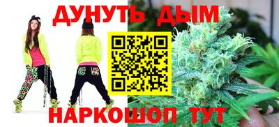 индика Гай