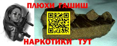 индика Гай