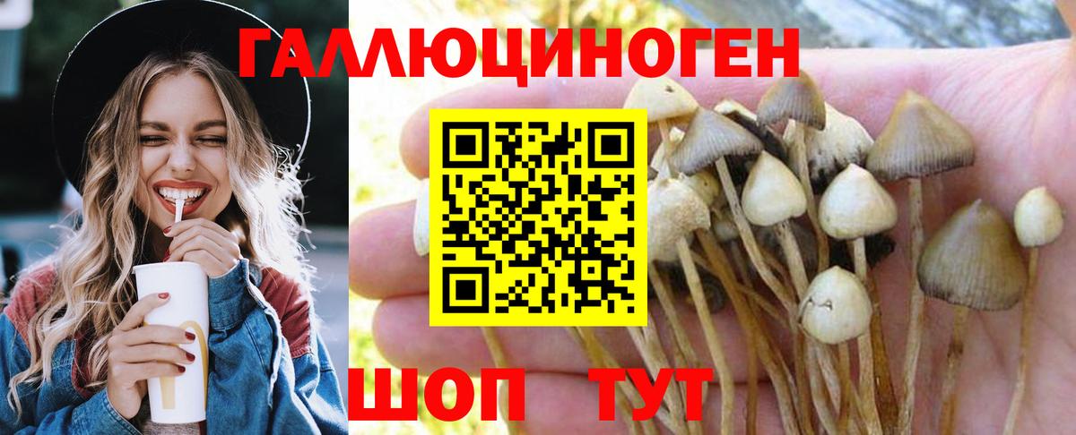 Псилоцибиновые грибы Magic Shrooms  Галлюциногенные грибы Cubensis  Вход с VPN  Новоалтайск 